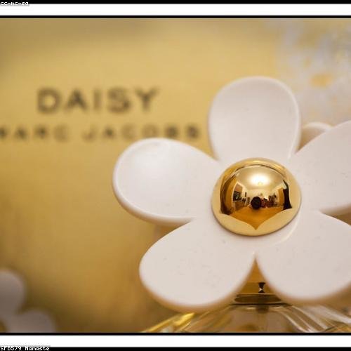 Golden Bloom